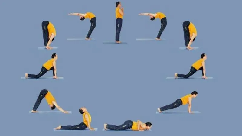 Bài tập chuỗi chuyển động Vinyasa yoga và nguyên tắc để tập yoga hiệu quả