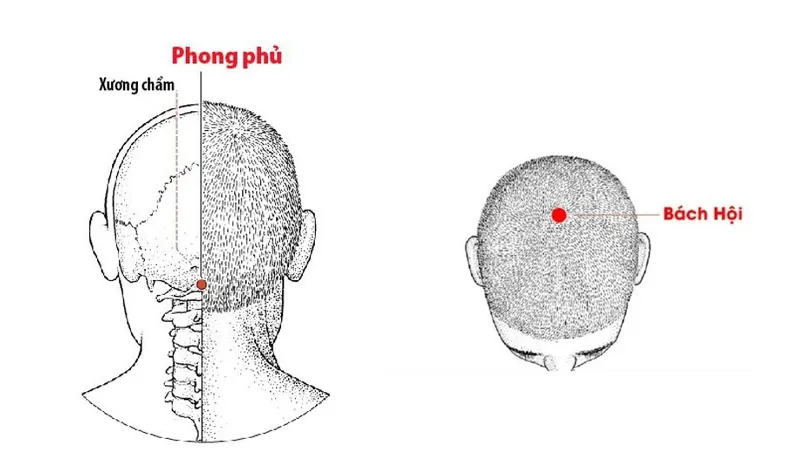 Bấm huyệt tăng cường trí nhớ: Đúng cách - Đúng huyệt - Đúng thời điểm