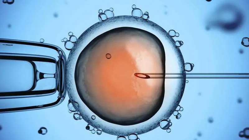 Các xét nghiệm trước khi làm IVF là gì và quy trình IVF ra sao?