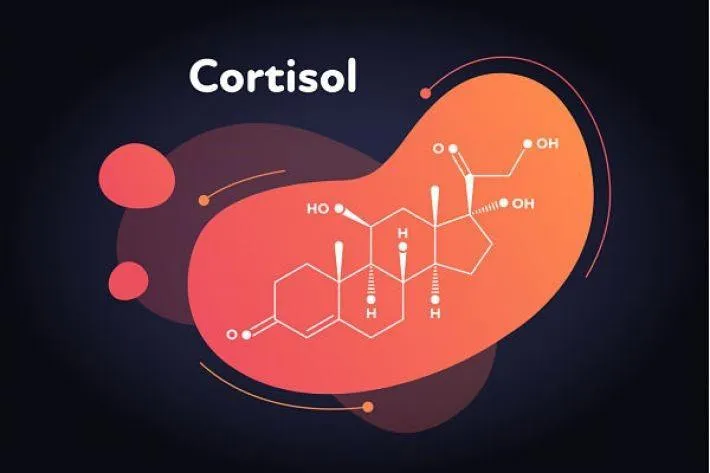 Cortisol là gì? Giá trị bình thường của nồng độ cortisol trong máu?