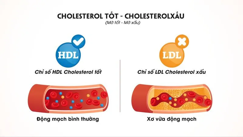 Dầu hạnh nhân và những lợi ích sức khỏe tuyệt vời