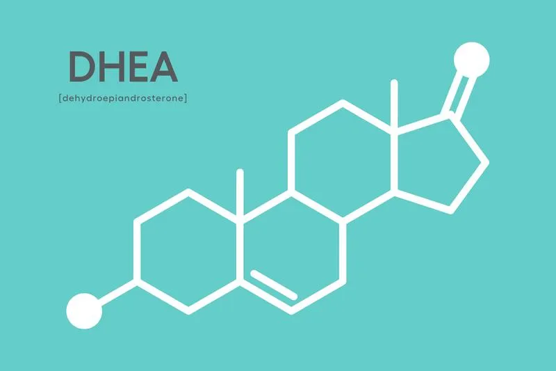 DHEA hormone là gì? Vai trò của hormone DHEA?