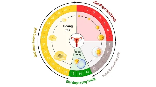 Giải đáp: Trước khi thử thai không nên làm gì?