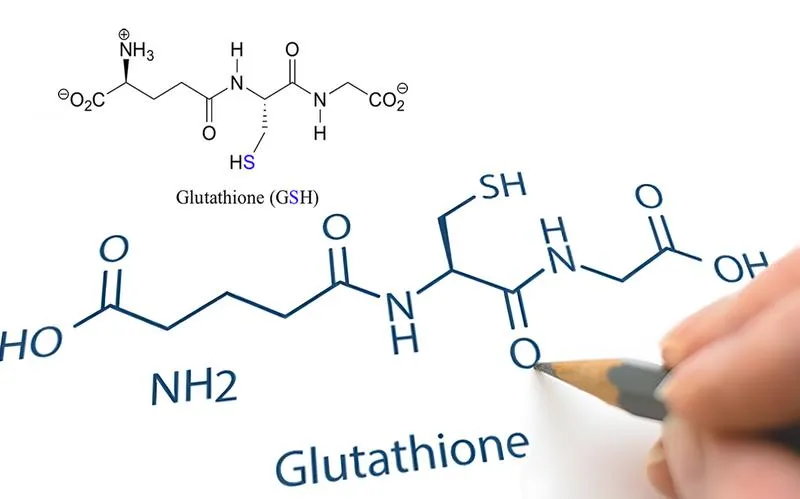 Glutathione có trong thực phẩm nào? Vai trò của Glutathione đối với cơ thể