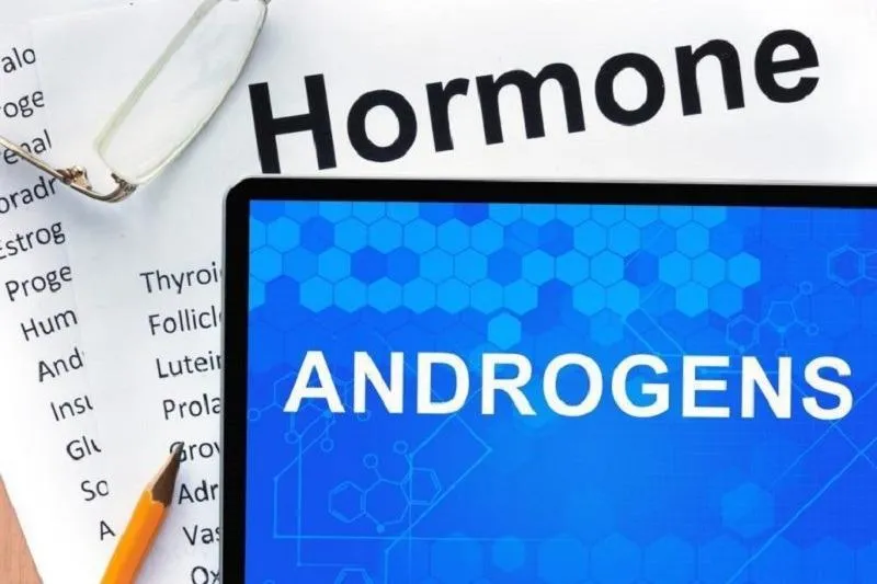 Hormone Androgen giữ vai trò gì?