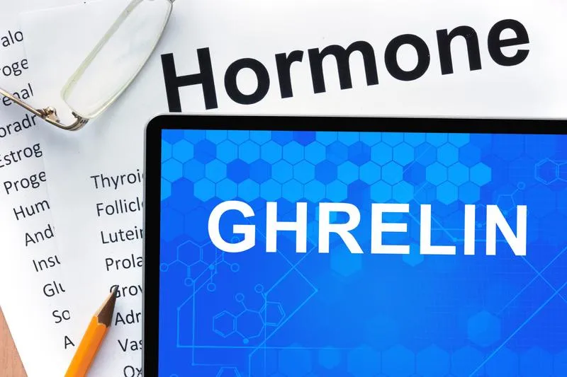 Hormone Ghrelin là gì? Chức năng của hormone Ghrelin?