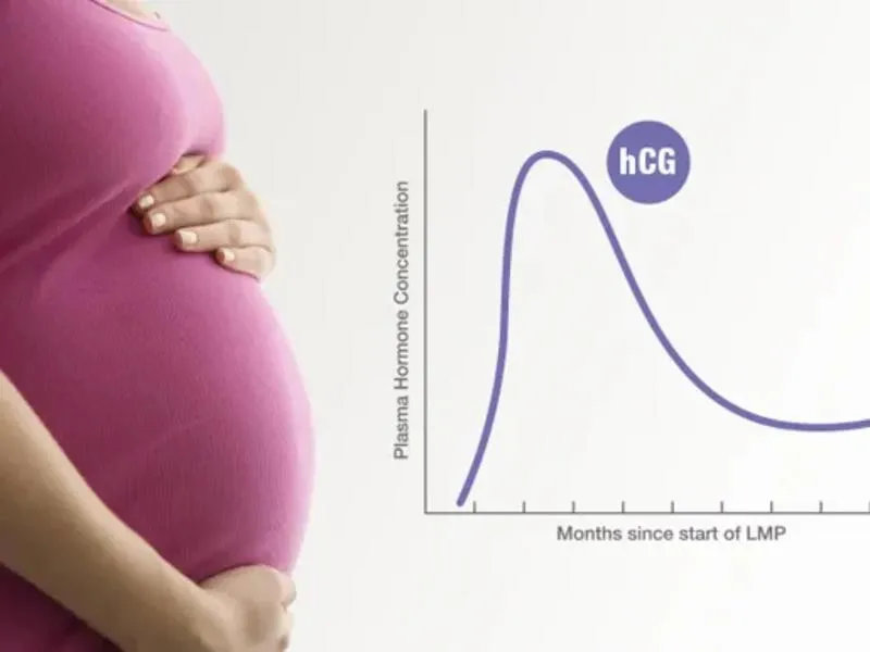 Hormone hCG là gì? Ý nghĩa của nồng độ hormon hCG?