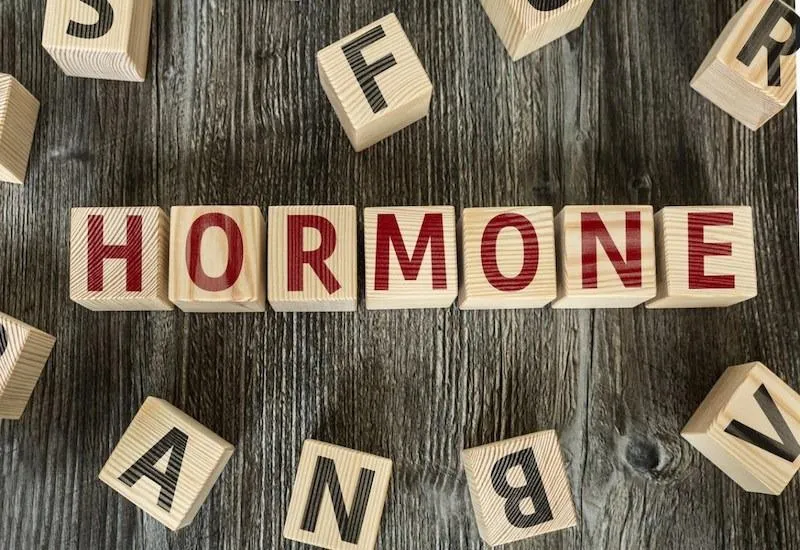 Hormone là gì? Vai trò của hormone trong cơ thể?