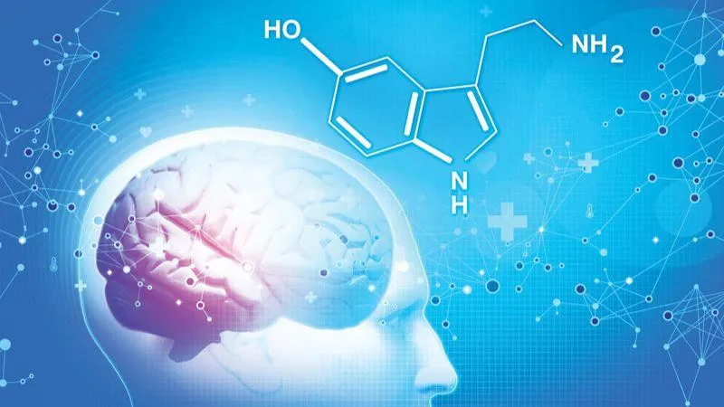 Hormone serotonin là gì? Hormone serotonin có chức năng gì?