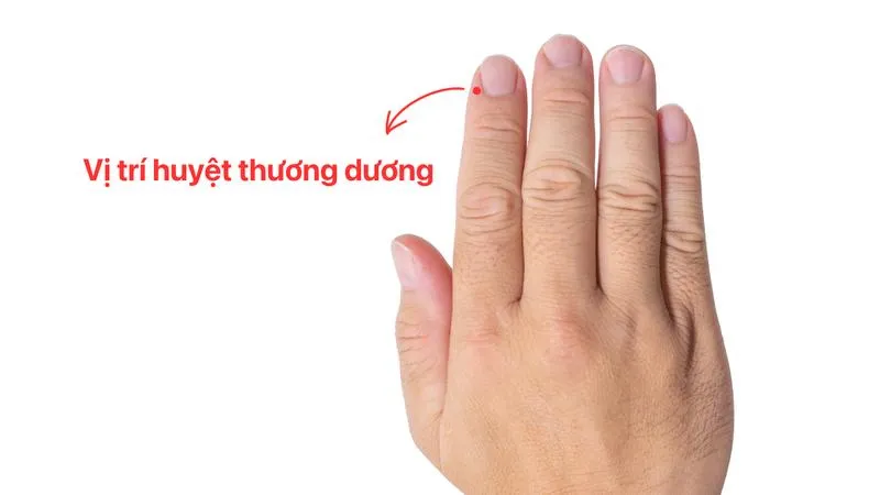 Huyệt thương dương là huyệt gì? Cách bấm huyệt thương dương trị đau răng