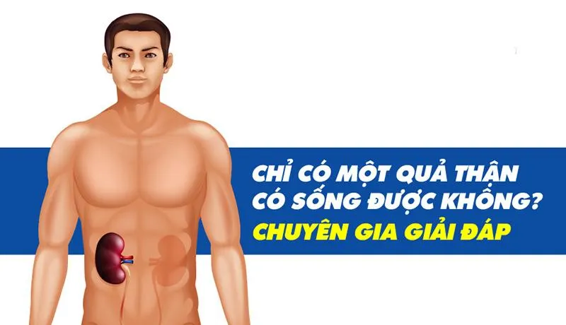 Một quả thận có sống được không? Cần lưu ý gì khi còn một quả thận