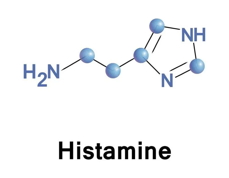 Tác dụng phụ của thuốc kháng histamin là gì? Có nghiêm trọng không?