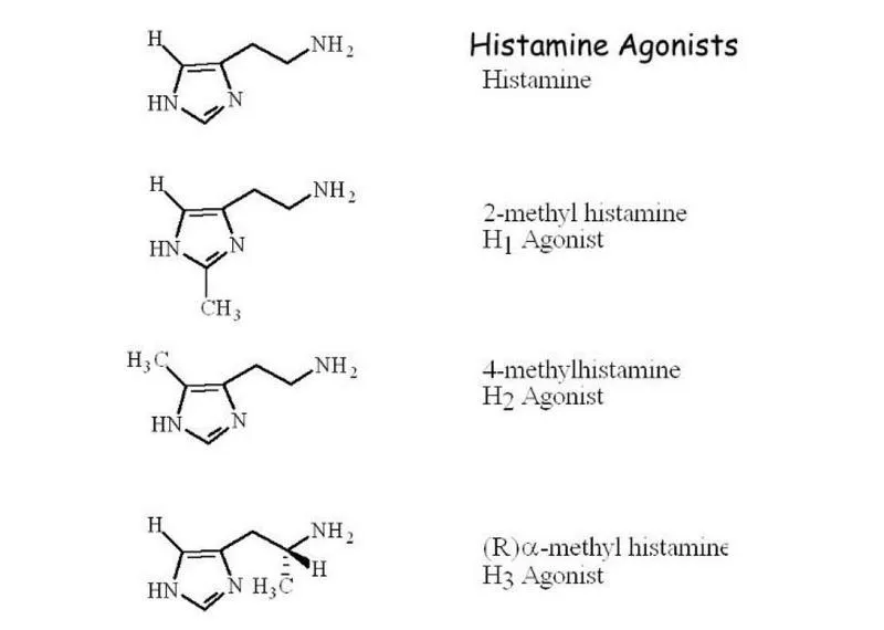 Thuốc kháng histamin H2 được dùng để điều trị bệnh gì?