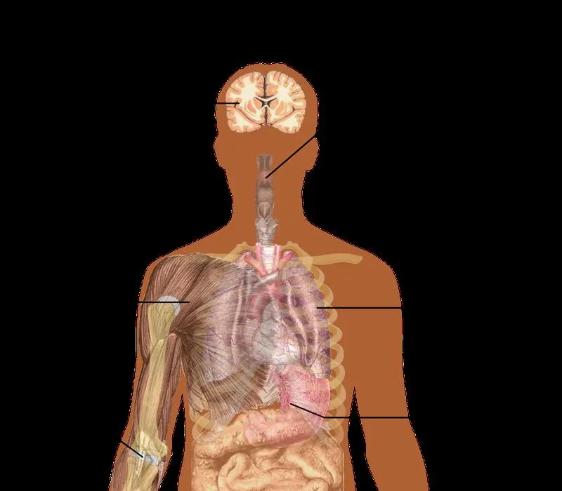 Tìm hiểu về những đặc điểm cấu tạo của virus cúm