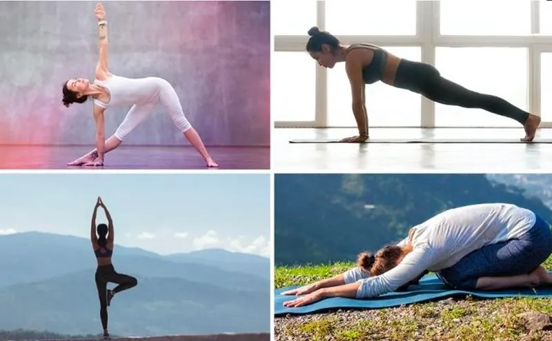 Tư thế con cá sấu là gì? Cách tập yoga hiệu quả