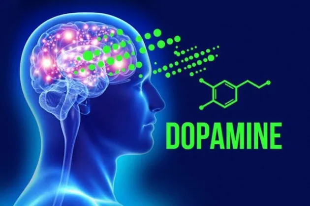 Vai trò của Dopamine một “hormone hạnh phúc” của cơ thể