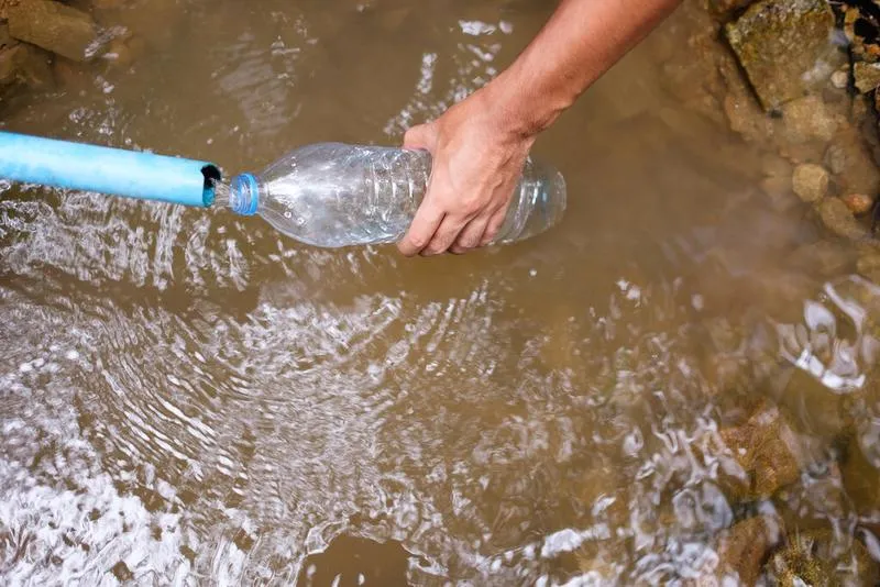 Vi khuẩn Aeromonas hydrophila là gì? Con đường lây nhiễm như thế nào?