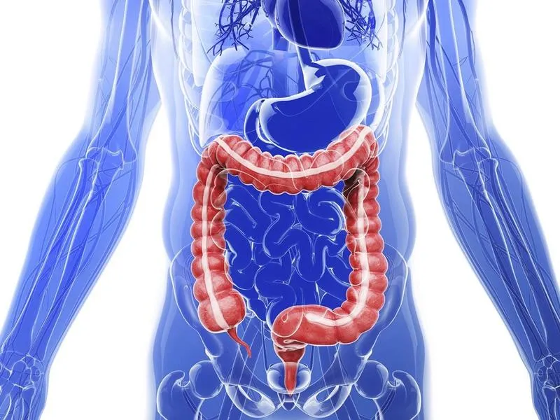 Vi khuẩn E coli: Đặc điểm, môi trường sinh sống và dấu hiệu nhận biết nhiễm trùng