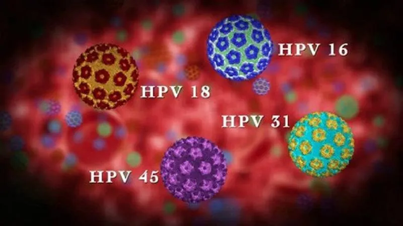 Virus HPV có lây qua nước bọt không? Những con đường lây nhiễm HPV