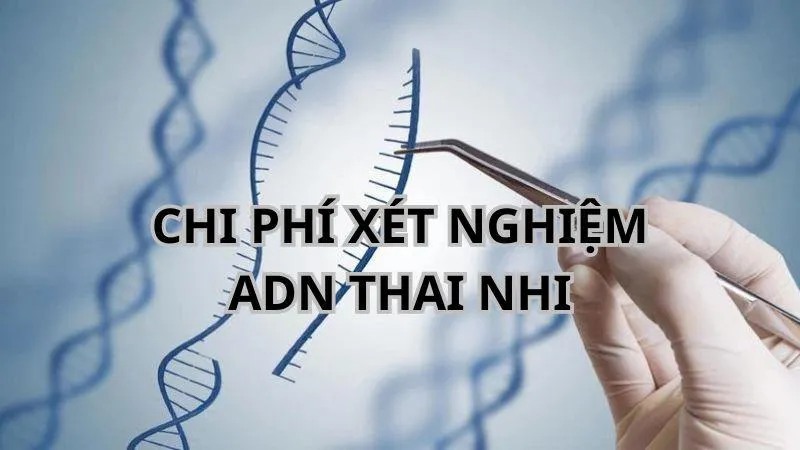 Xét nghiệm ADN thai nhi hết bao nhiêu tiền?