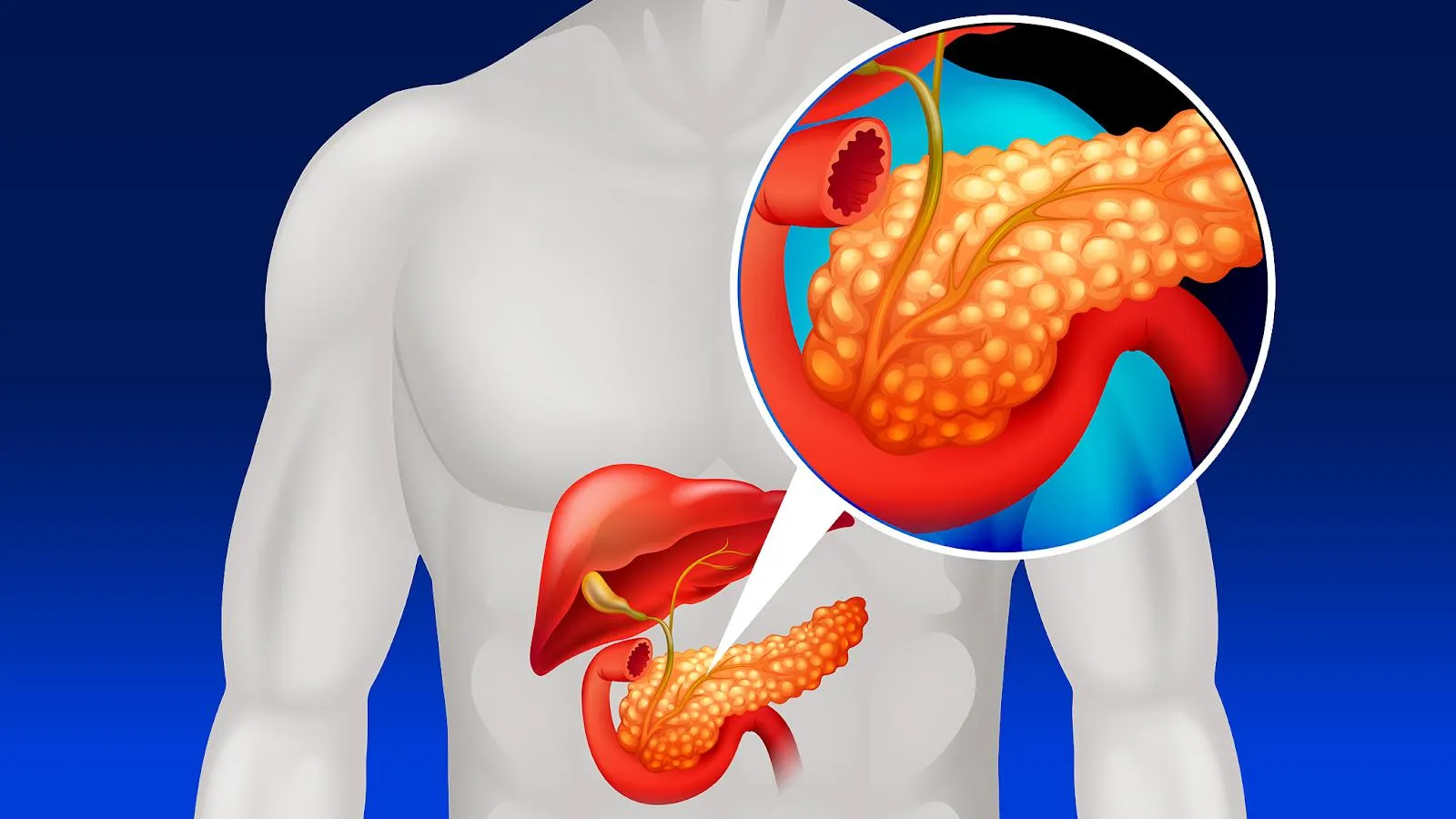 Xét nghiệm amylase là gì? Ý nghĩa của các giá trị nồng độ amylase