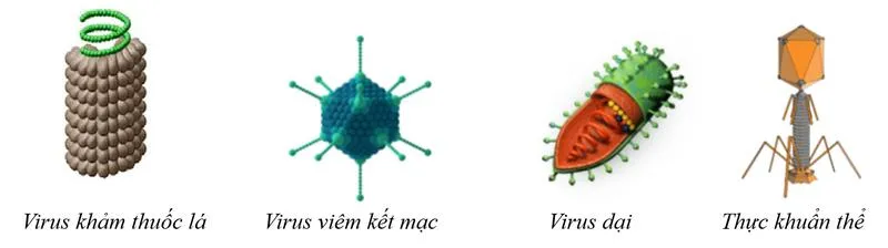 Xét nghiệm HPV dương tính: Ý nghĩa và những điều cần biết