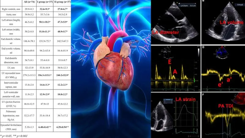 Ý nghĩa các chỉ số trong kết quả siêu âm tim