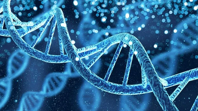 ADN và DNA: Sự khác biệt và điểm chung trong khoa học y sinh