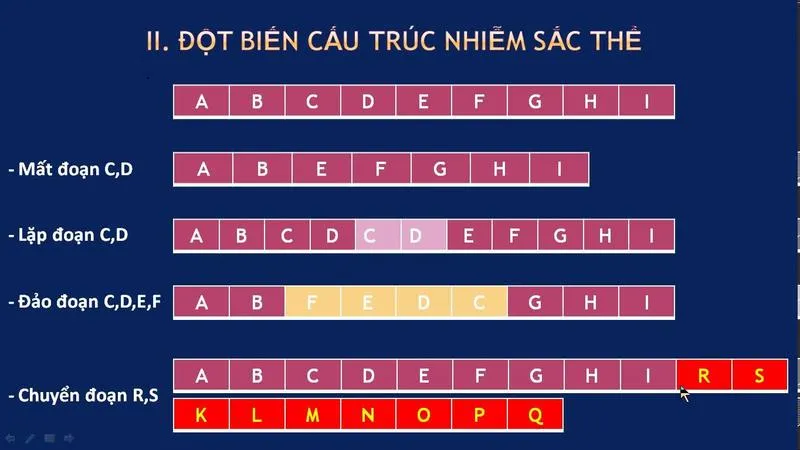 Bất thường nhiễm sắc thể số 22 gây ra những bệnh gì?