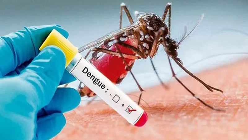 Bệnh sốt xuất huyết Dengue: Giải đáp các câu hỏi thường gặp cùng bác sĩ Nguyễn Văn My