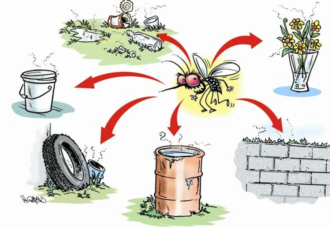 Bệnh sốt xuất huyết Dengue: Giải đáp các câu hỏi thường gặp cùng bác sĩ Nguyễn Văn My