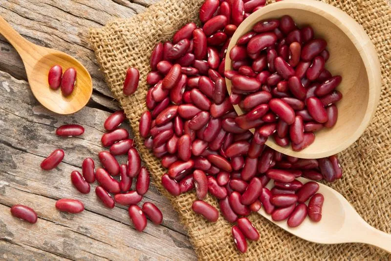 Đậu thận (Kidney bean): Nguồn dinh dưỡng tuyệt vời cho sức khỏe