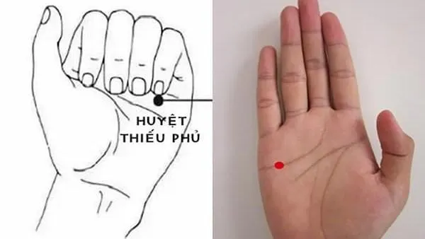 Huyệt thiếu phủ trong Đông Y: Vị trí, tác dụng và phương pháp trị bệnh