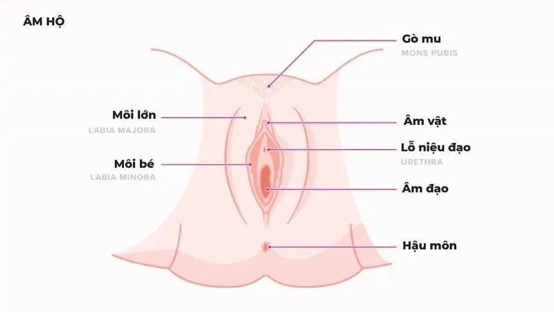 Môi bé bị dài: Nguyên nhân và cách khắc phục