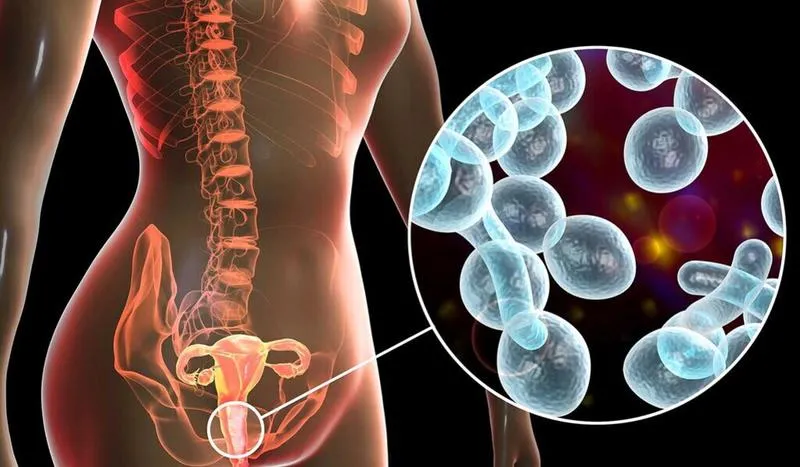 Optibac tím có dùng được cho bà bầu không? Cách sử dụng Optibac tím như thế nào?