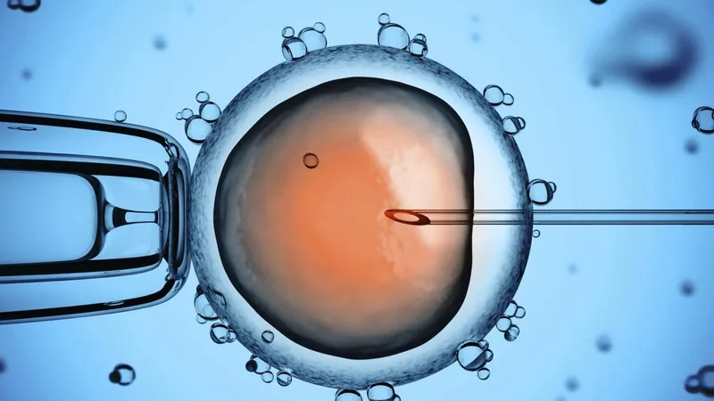 Phải kiêng quan hệ bao lâu trước khi làm IVF?