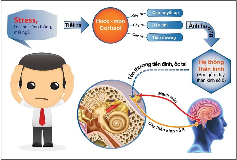 Phản xạ mắt búp bê là gì? Phân loại phản xạ mắt búp bê