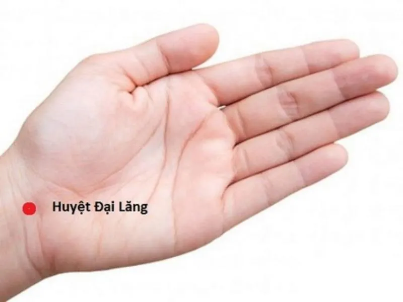 Phương pháp bấm huyệt điều trị huyết áp thấp hiệu quả