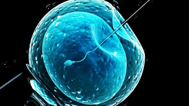 Tại sao thai IVF hay sinh non? Việc này có sao không?