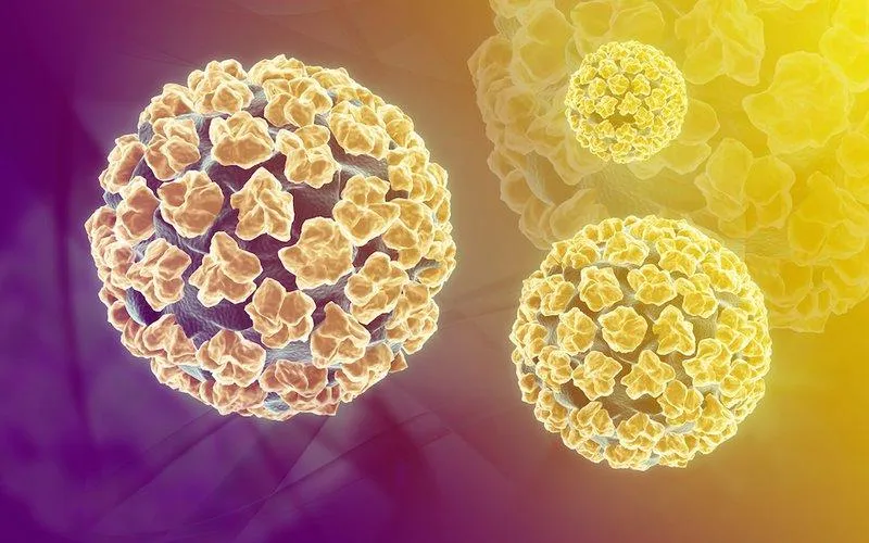 Xét nghiệm HPV là gì? Chi phí bao nhiêu?