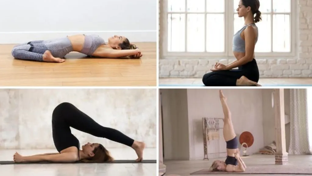 Bài tập chuỗi chuyển động Vinyasa yoga và nguyên tắc để tập yoga hiệu quả