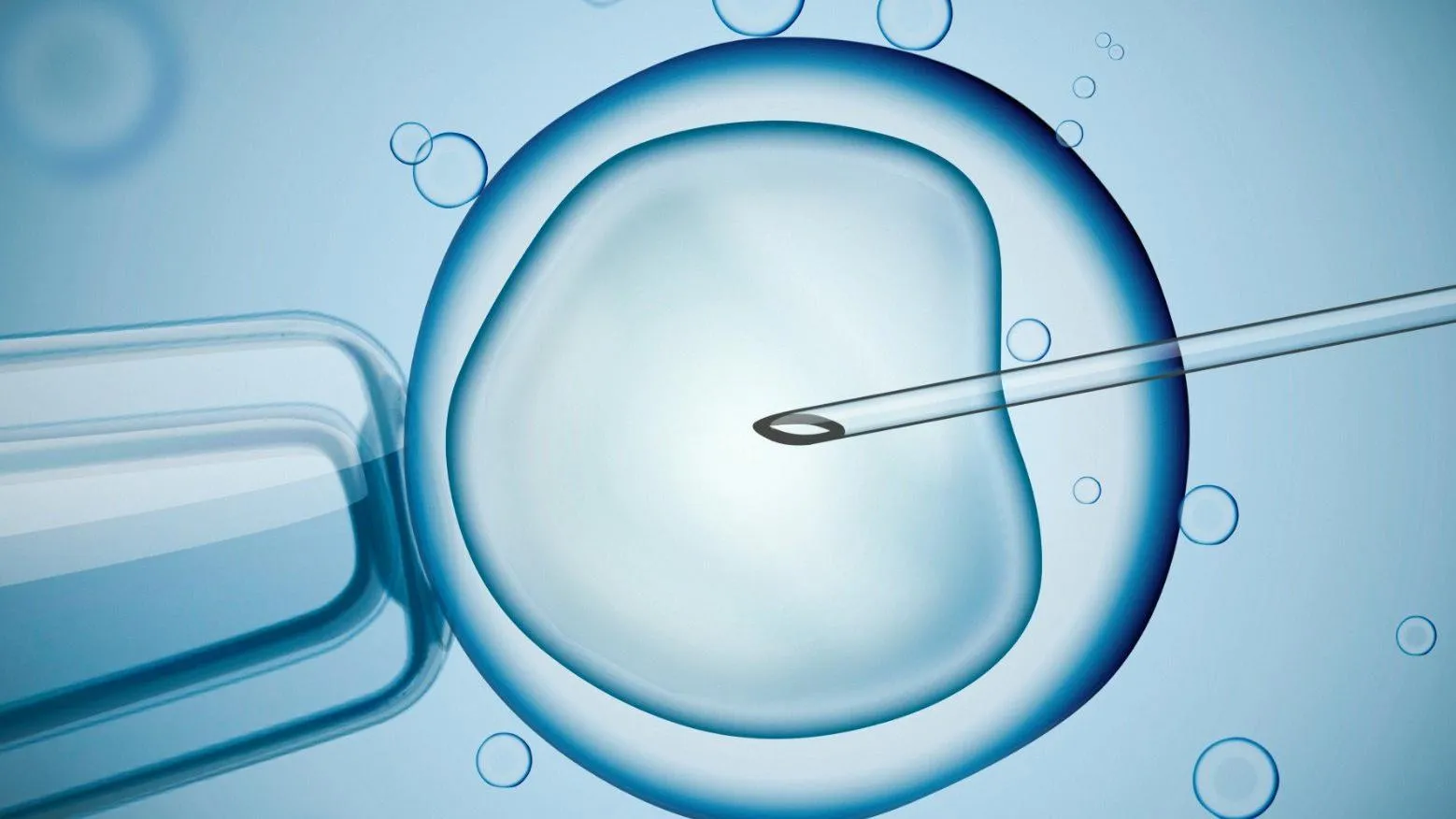 Các xét nghiệm trước khi làm IVF là gì và quy trình IVF ra sao?