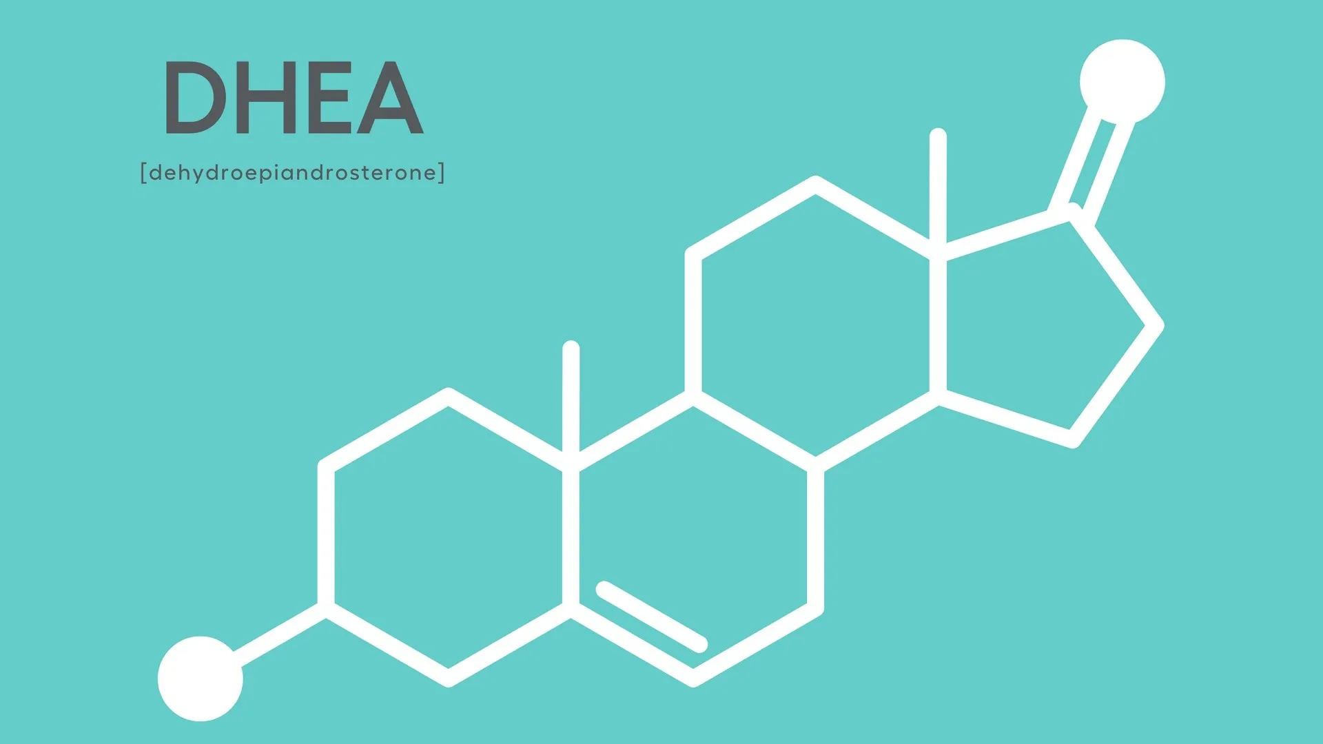 DHEA hormone là gì? Vai trò của hormone DHEA?