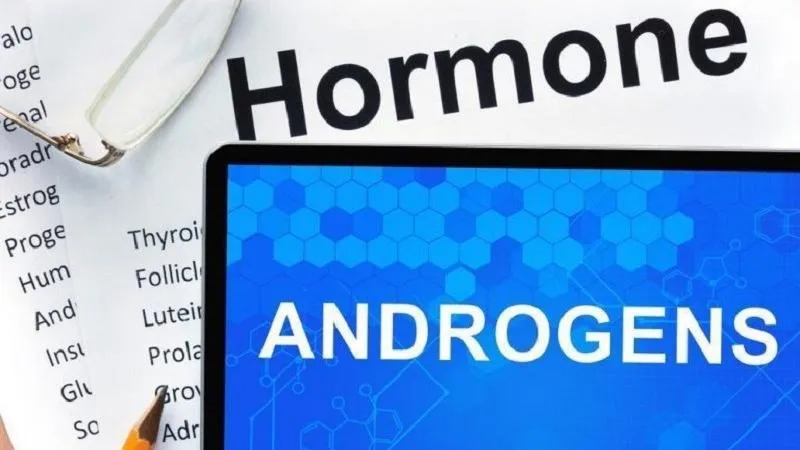 Hormone Androgen giữ vai trò gì?