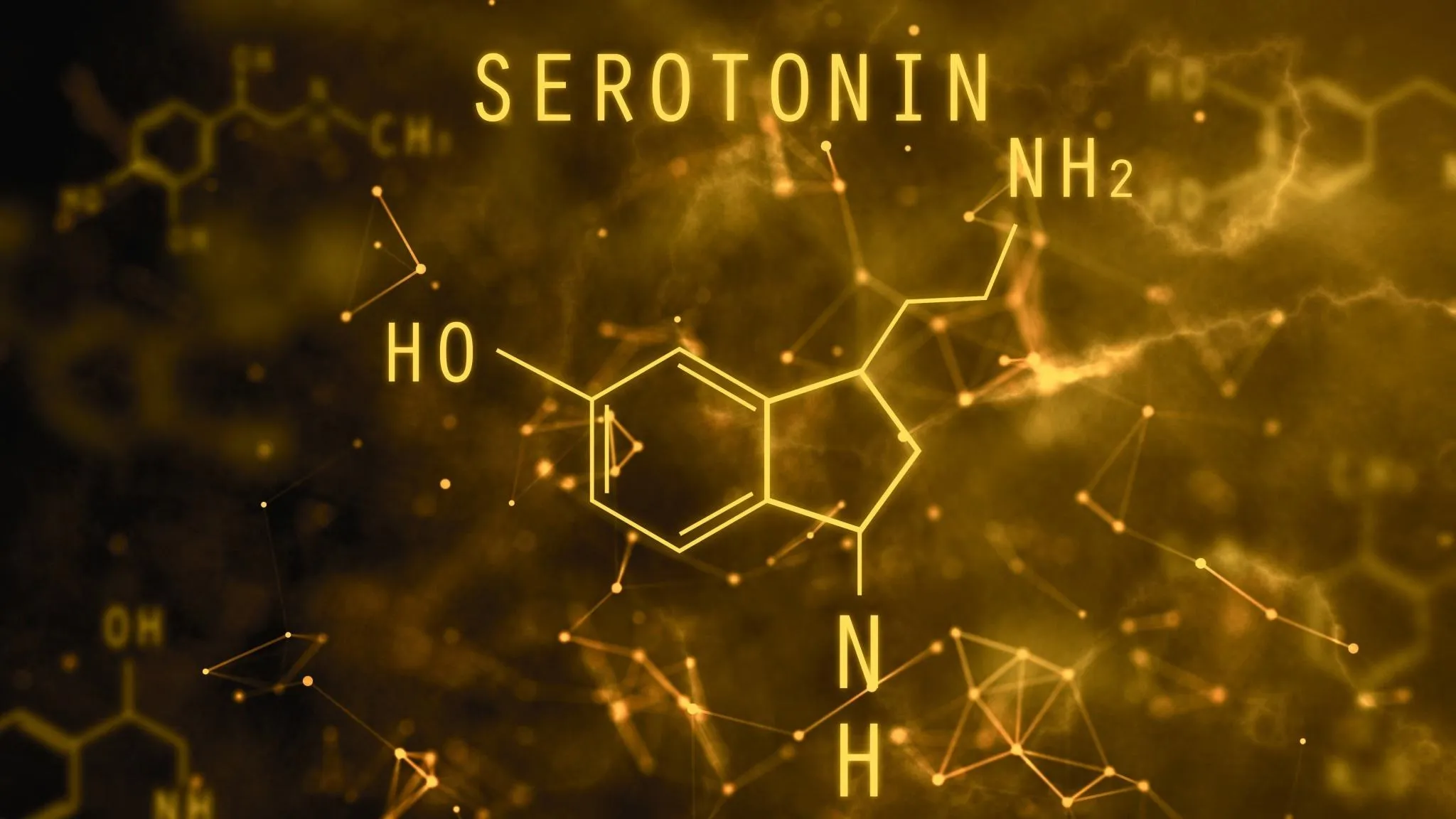 Hormone serotonin là gì? Hormone serotonin có chức năng gì?