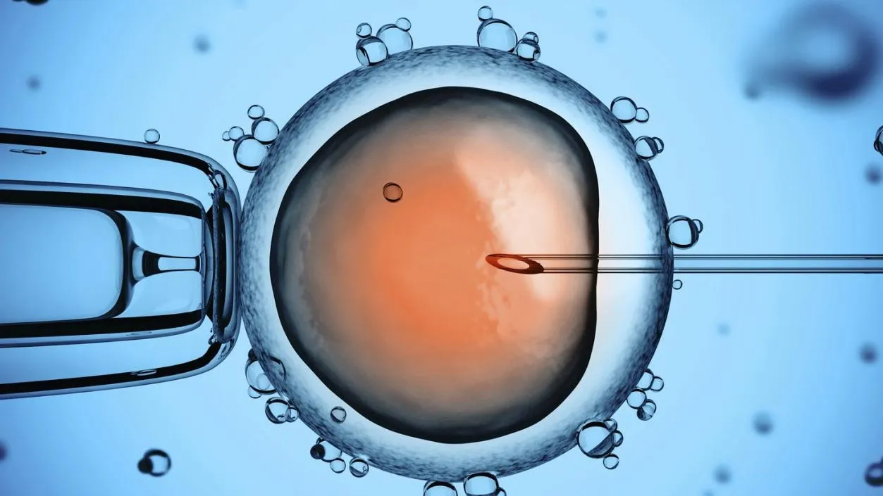 Làm IVF ở đâu tốt nhất? 3 địa chỉ hàng đầu ở TPHCM