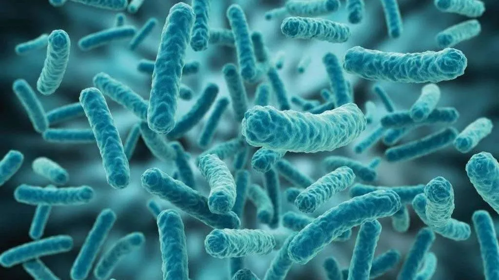 Tìm hiểu về Lactobacillus và lợi ích mà chúng đem lại