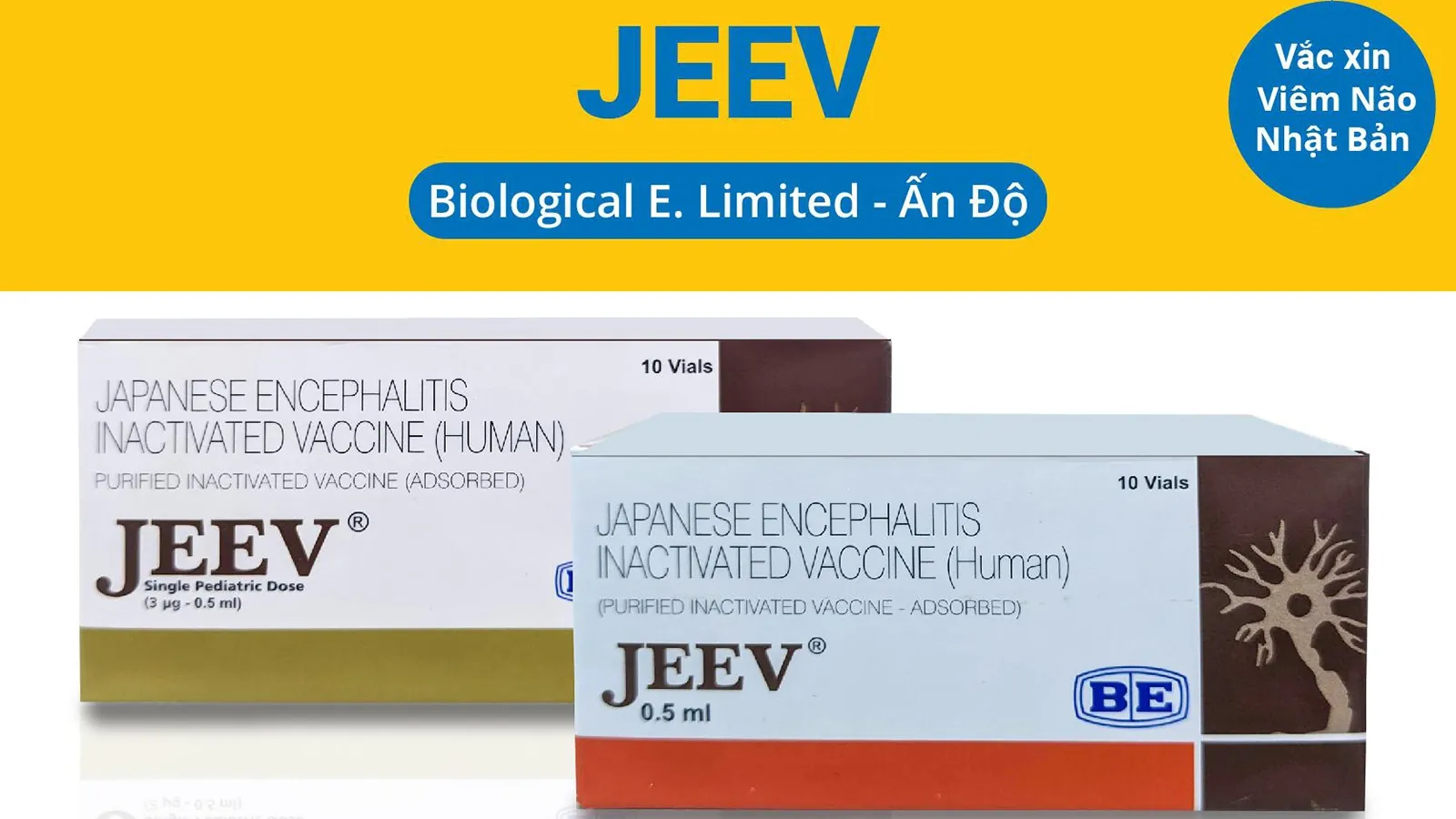 Vaccine Jeev 3mcg/0.5ml (Ấn Độ) phòng bệnh viêm não Nhật Bản