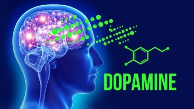 Vai trò của Dopamine một “hormone hạnh phúc” của cơ thể