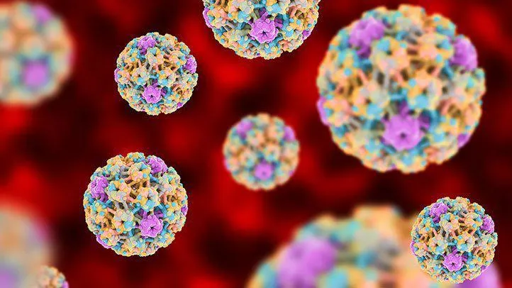 Virus HPV có lây qua nước bọt không? Những con đường lây nhiễm HPV